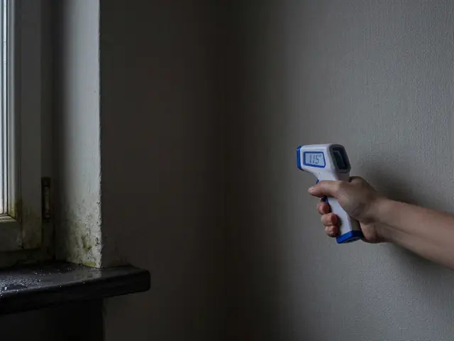 Kaltes Eck im Raum: Ursachen, Dämmung und Luftführung gegen Schimmel