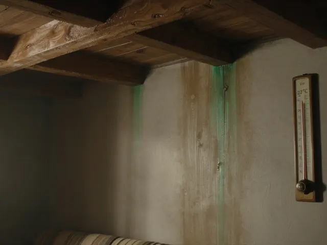 Holzschutzmittel im Innenraum: Sicherheit und Wirkung - Was wirklich schadet und was wirklich schützt